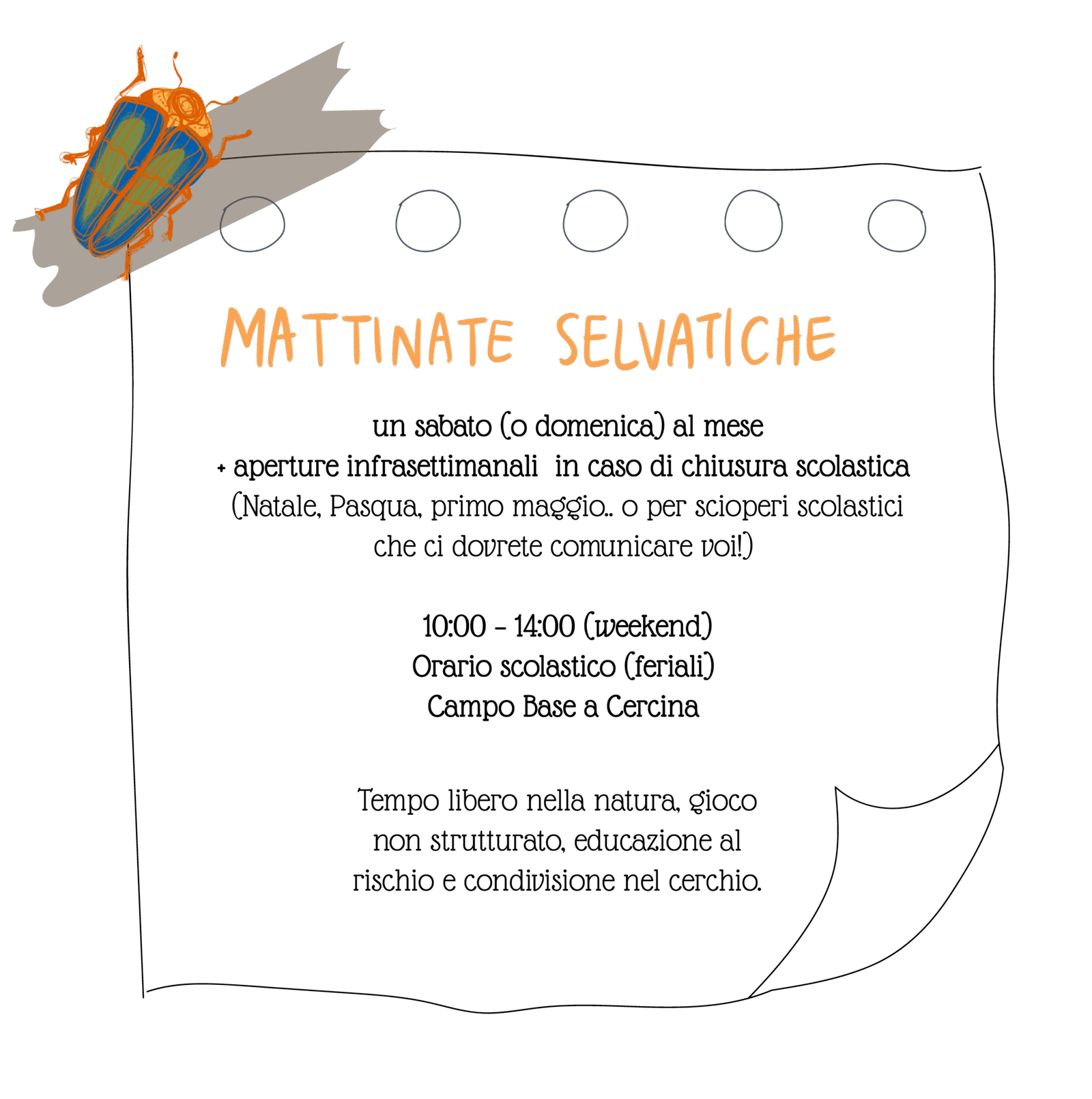 pacchetti ervizi offerti bosco peda campo base 03