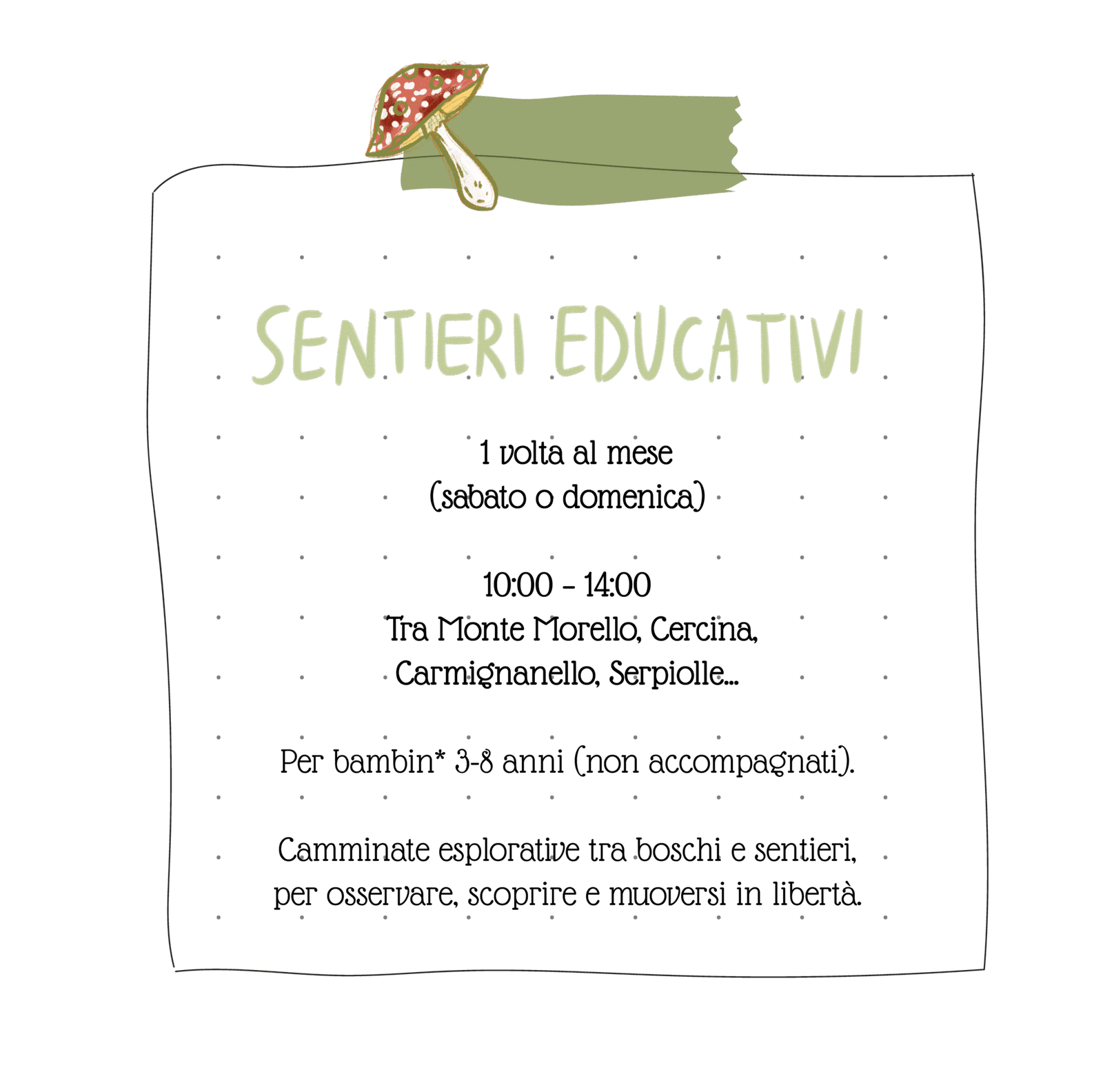 pacchetti ervizi offerti bosco peda campo base 04