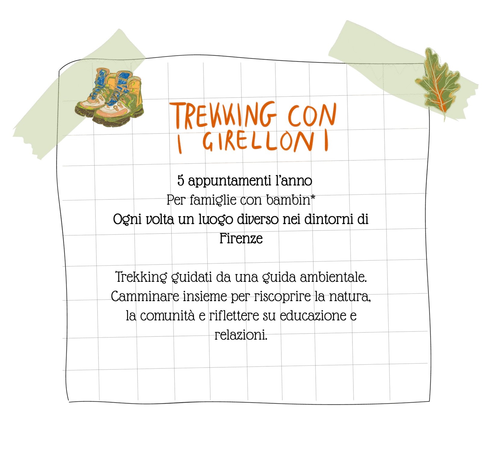 pacchetti ervizi offerti bosco peda campo base 05