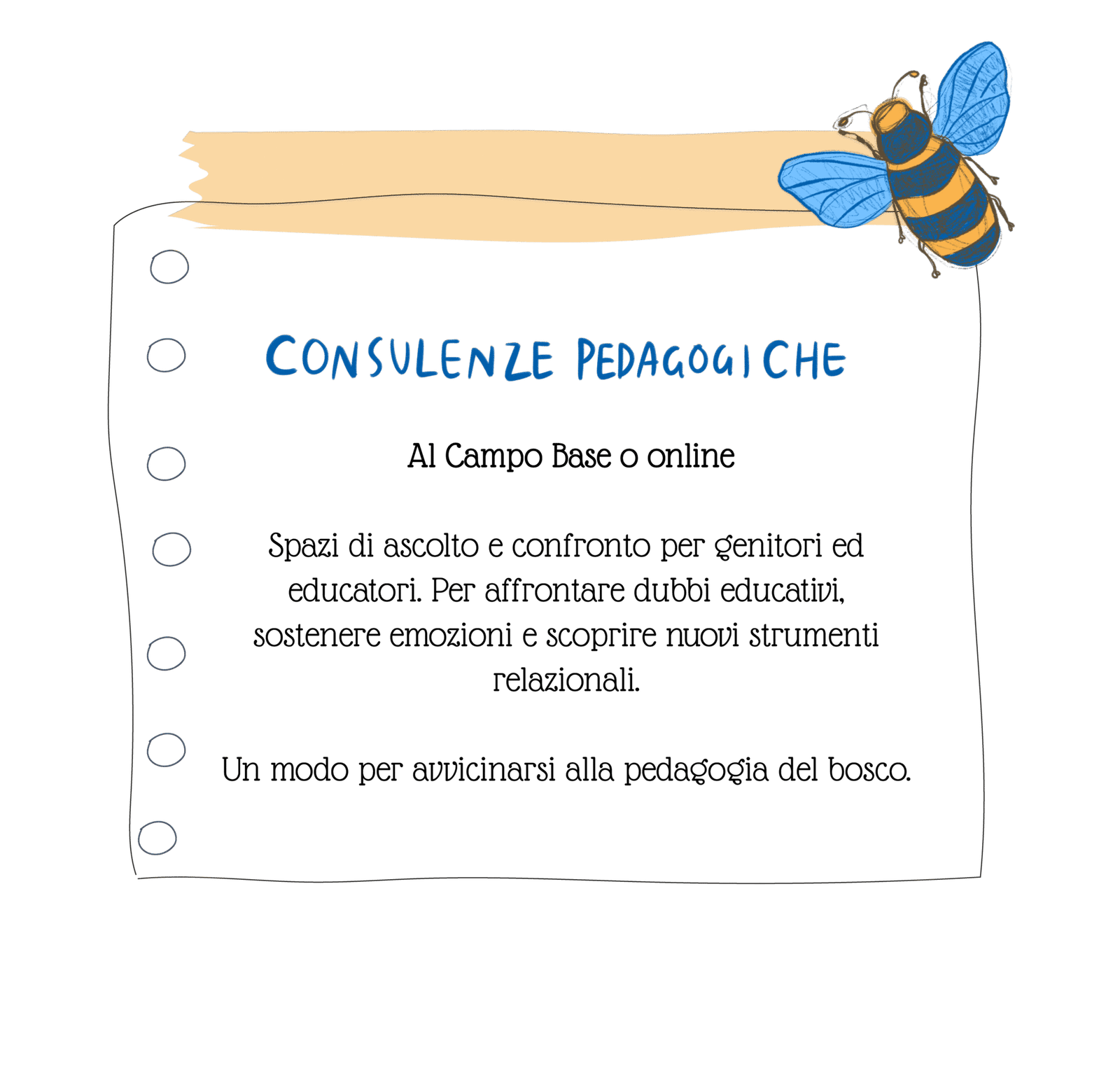 pacchetti ervizi offerti bosco peda campo base 06