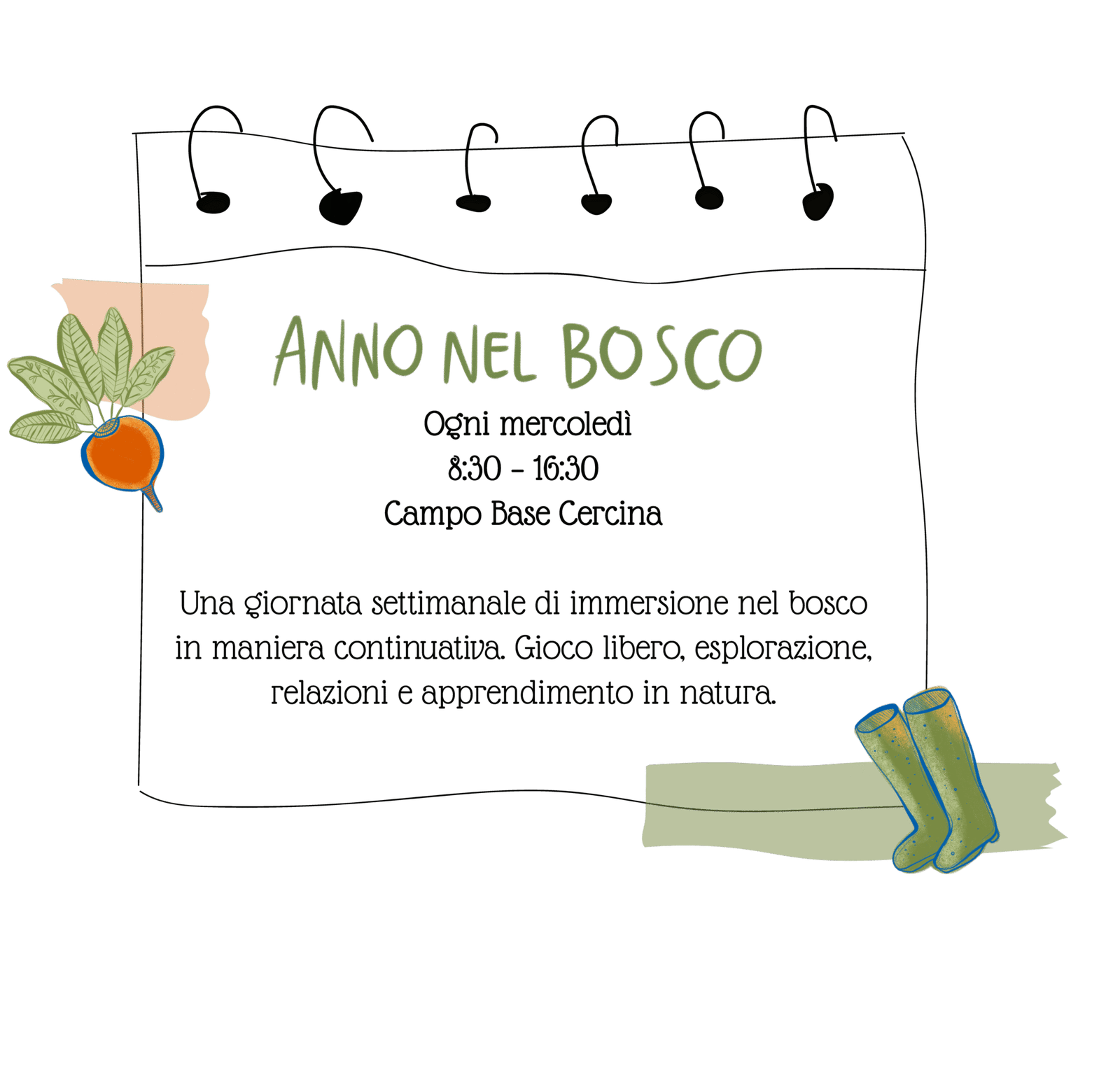 pacchetti ervizi offerti bosco peda campo base tavola disegno 1 copia