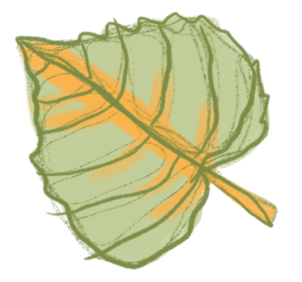 doodle primavera
